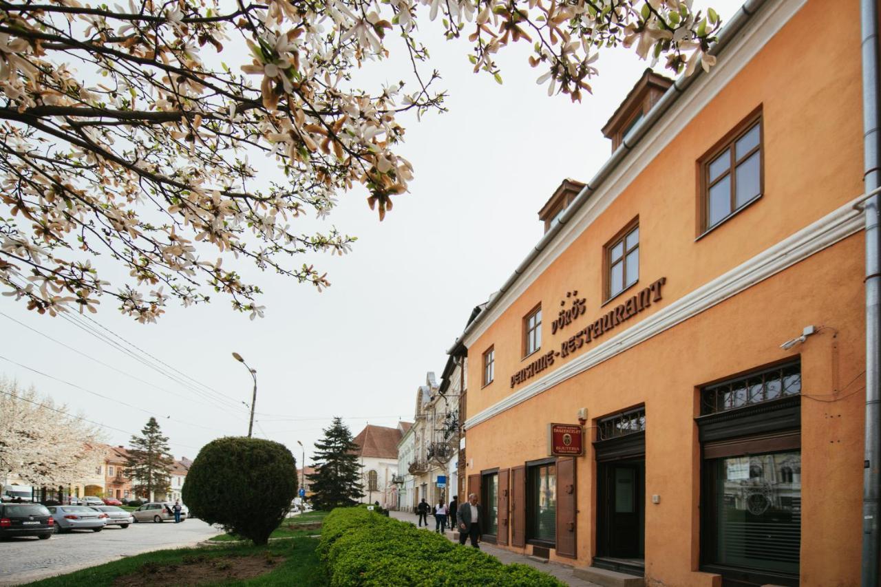 Voeroes Guest House Tirgu Secuiesc Luaran gambar