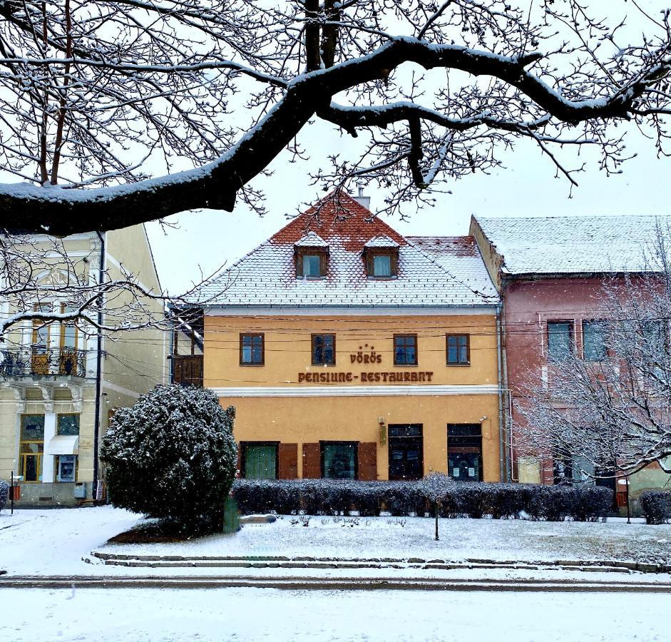 Voeroes Guest House Tirgu Secuiesc Luaran gambar